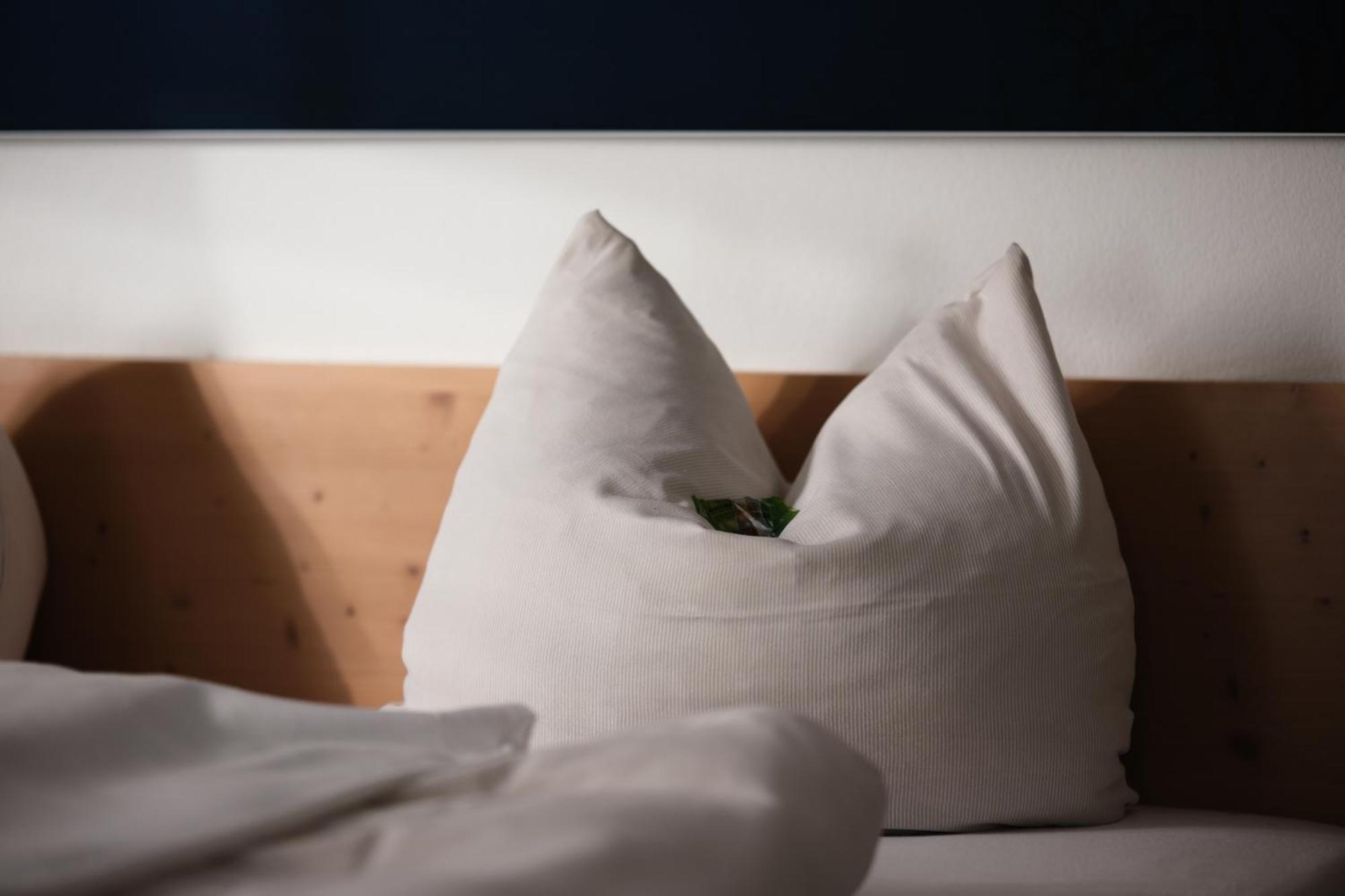 "Beim Butz" Hotel Worth an der Donau Luaran gambar
